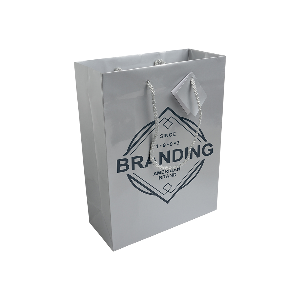 Bolsa de papel plastificado y cable de mangos + tarjetas de visita, Plata, , , ,