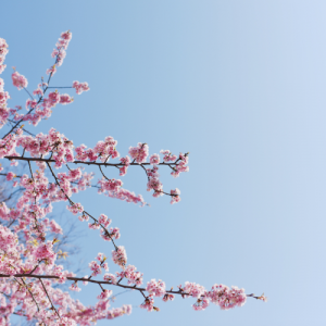 Ofertas en Papelería y Material de Oficina meses de Abril - Mayo